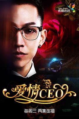 爱情CEO 第13集