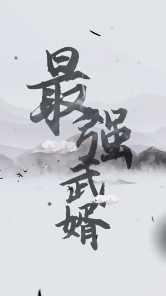 最强武婿 第15集